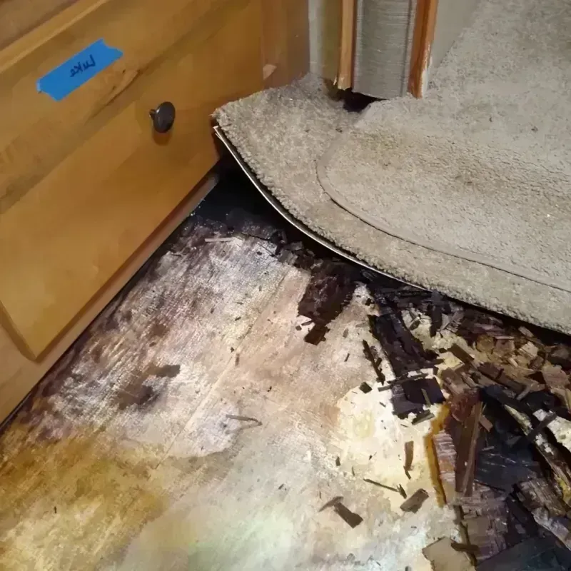 Wood Floor Water Damage in Riviera Beach, MD